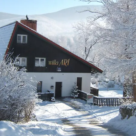 Casa de hóspedes Ari
